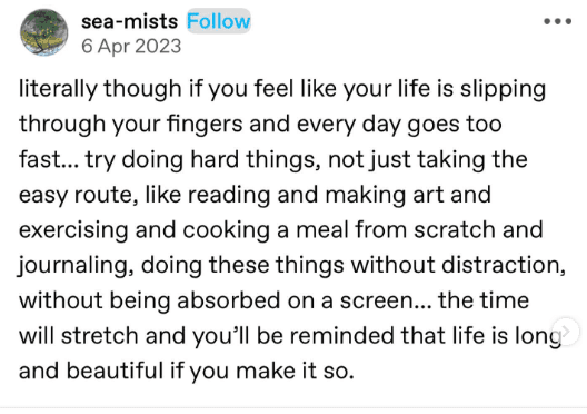 A screenshot of a Tumblr post mentioning how hard it is to do hard things, encouraging people to embrace challenges.